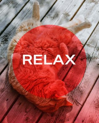 Relájate con MITO LIGHT 🧘 La luz roja no solo actúa sobre la piel, sino también sobre el sistema nervioso. Su suave calor...