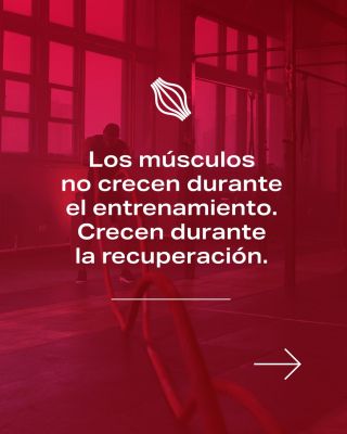 ¿Crees que la parte más importante del entrenamiento tiene lugar en el gimnasio? 💪 En realidad, el ejercicio es solo el...