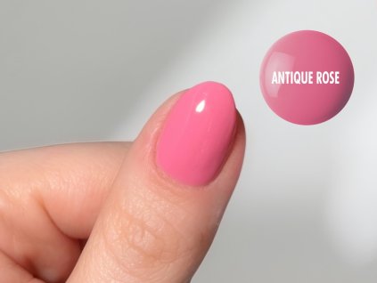 Antique Rose