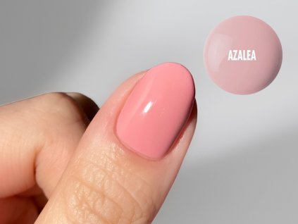 Azalea