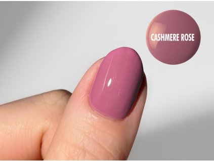 Cashmere Rose