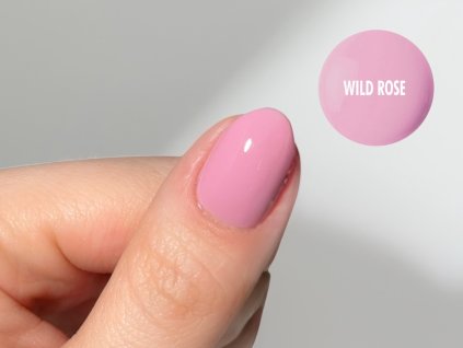 Wild Rose
