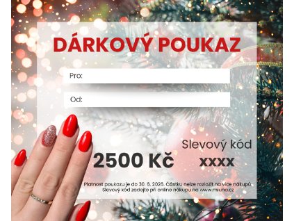 Vánoční dárkový poukaz 2500 Kč