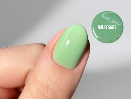 Milky Sage