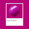 LOVE POTION