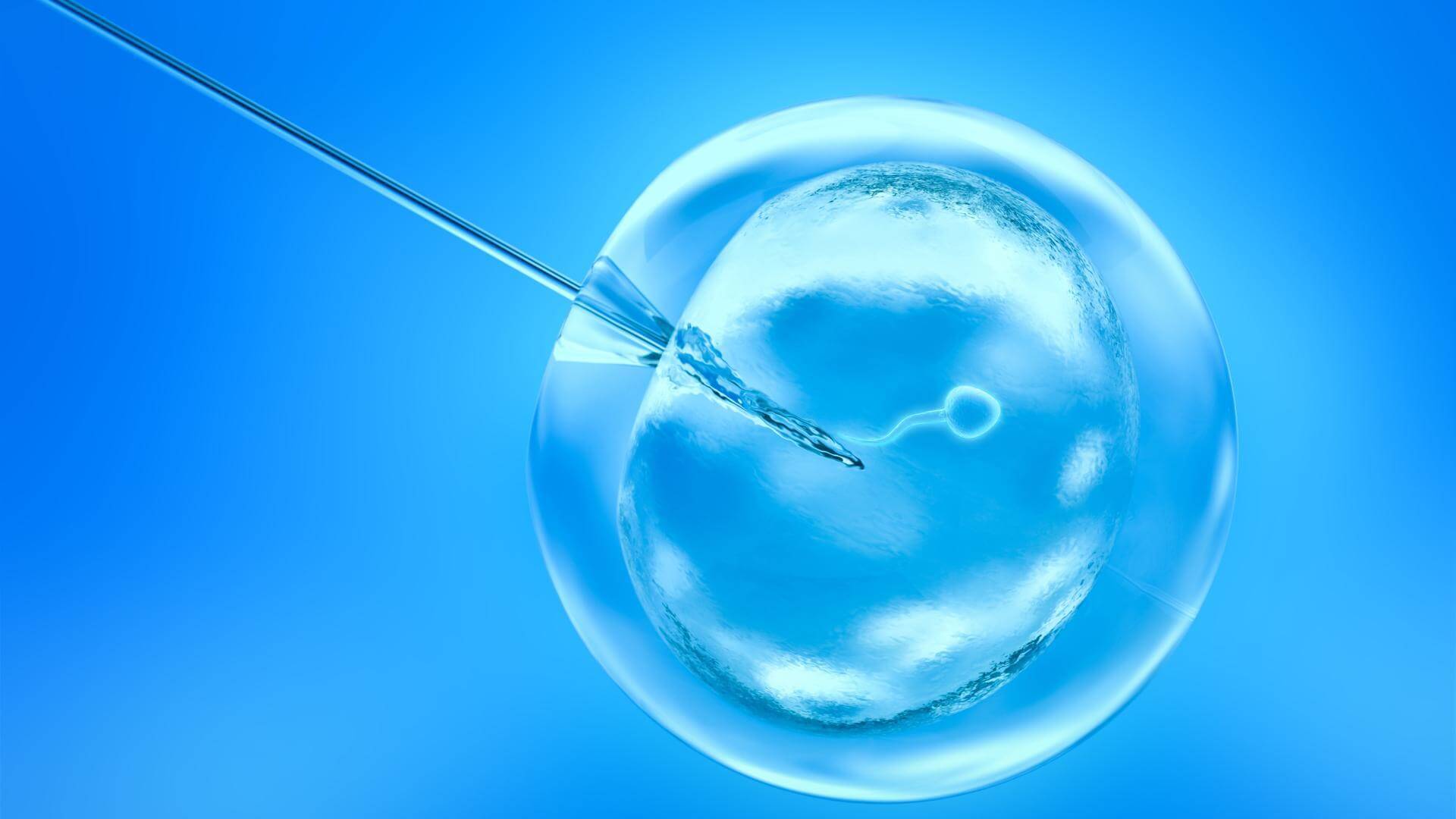 Co je IVF: Proces asistované reprodukce ve zkumavce