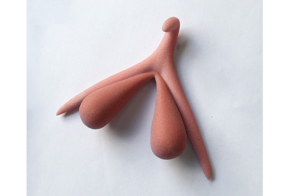 Co je klitoris a kde ho najít