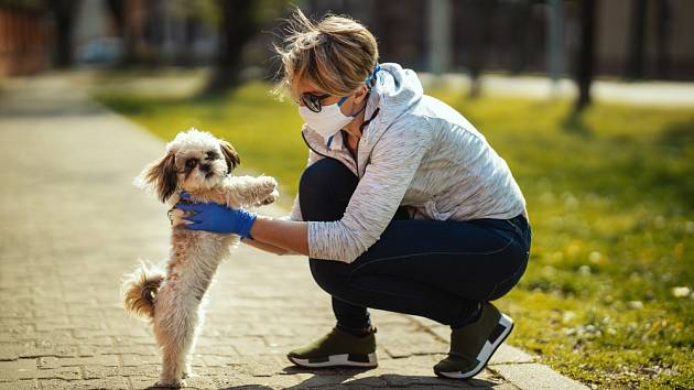 Jak často venčit psa - jak na věrného společníka