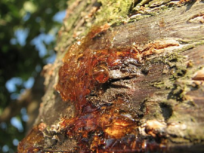 Jak odstranit smůlu z oblečení: Účinné metody a tipy