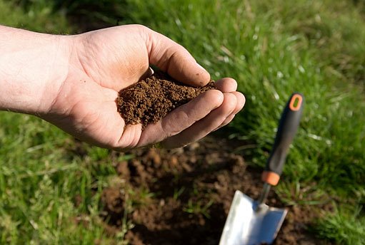 Jak okyselit půdu pro zdravý růst rostlin