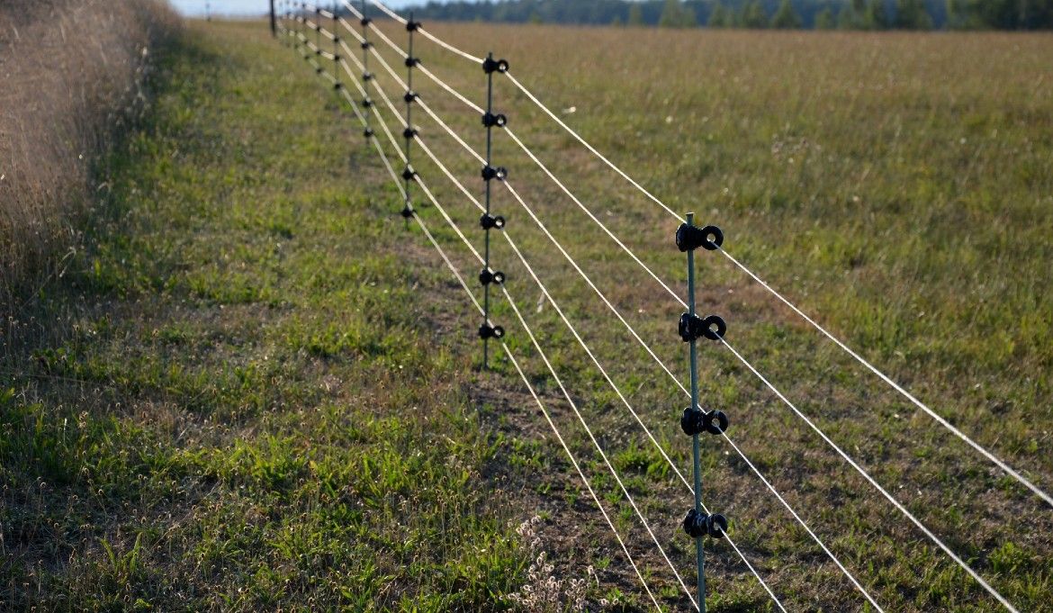 Jak vybrat elektronické ohradníky