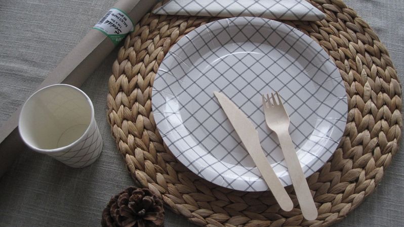 Jak vybrat jednorázové nádobí