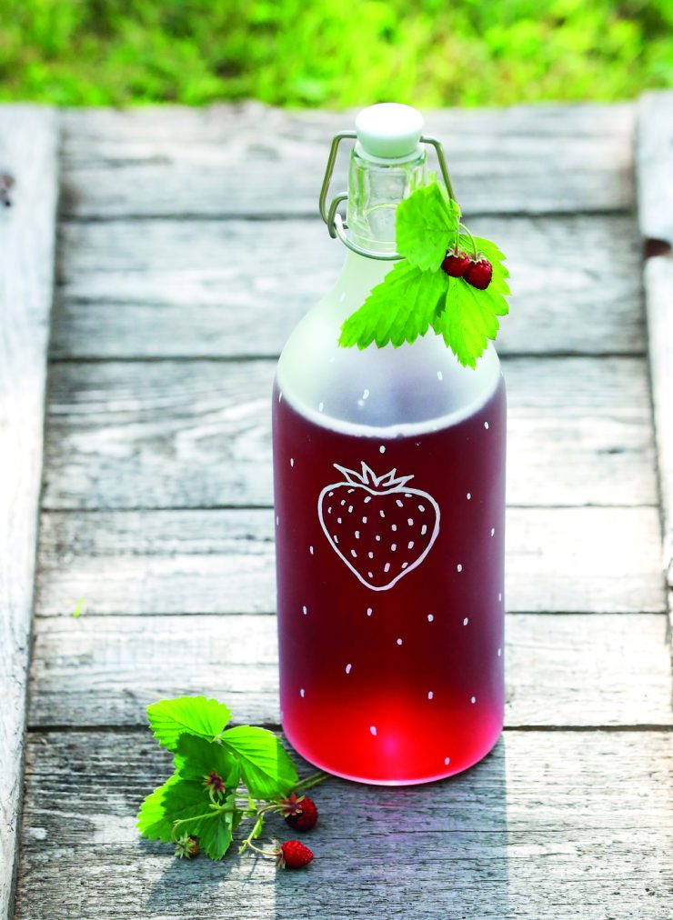 Jak vybrat lahve na mléko a sirupy