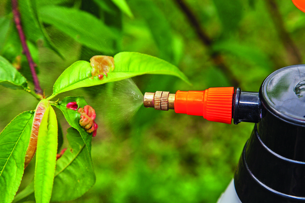 Jak vybrat postřikovače