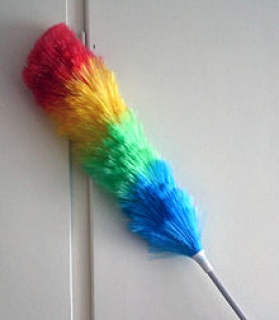 Jak vybrat prachovky