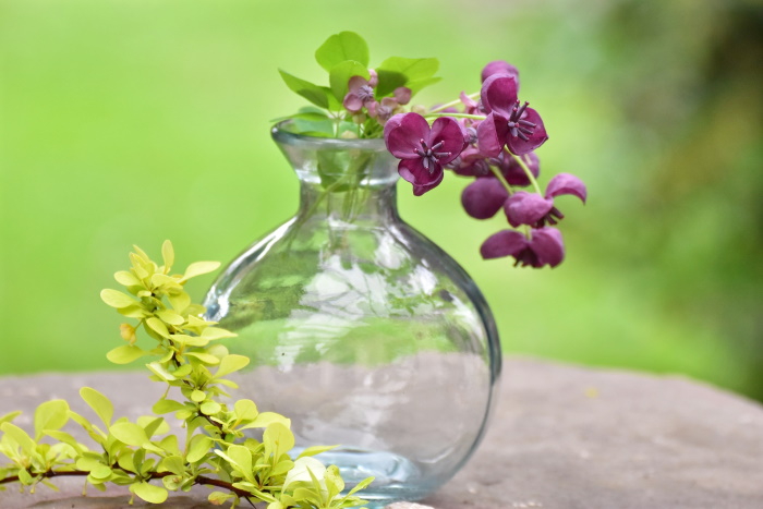 Jak vybrat vázy skleněné