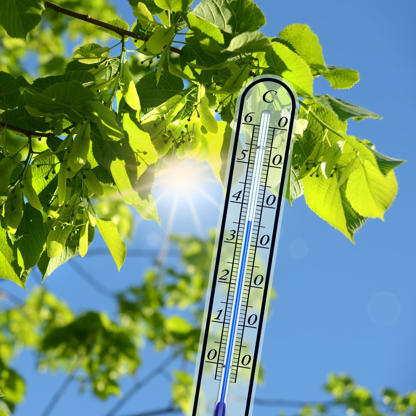 Jak vybrat venkovní teploměry