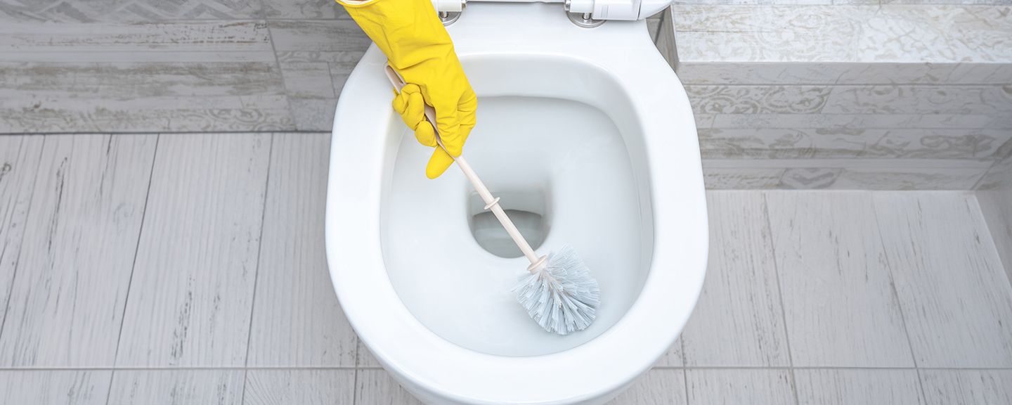 Jak vybrat WC štětky