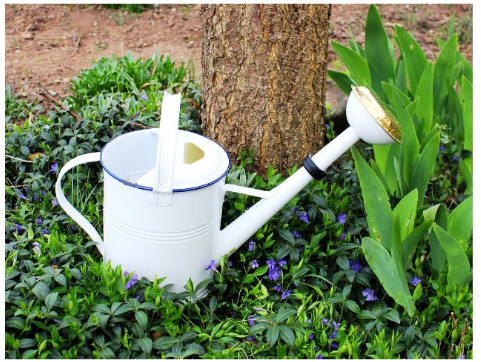 Jak vybrat zahradní konve