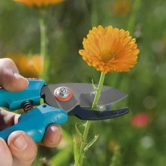 Jak vybrat zahradní nůžky