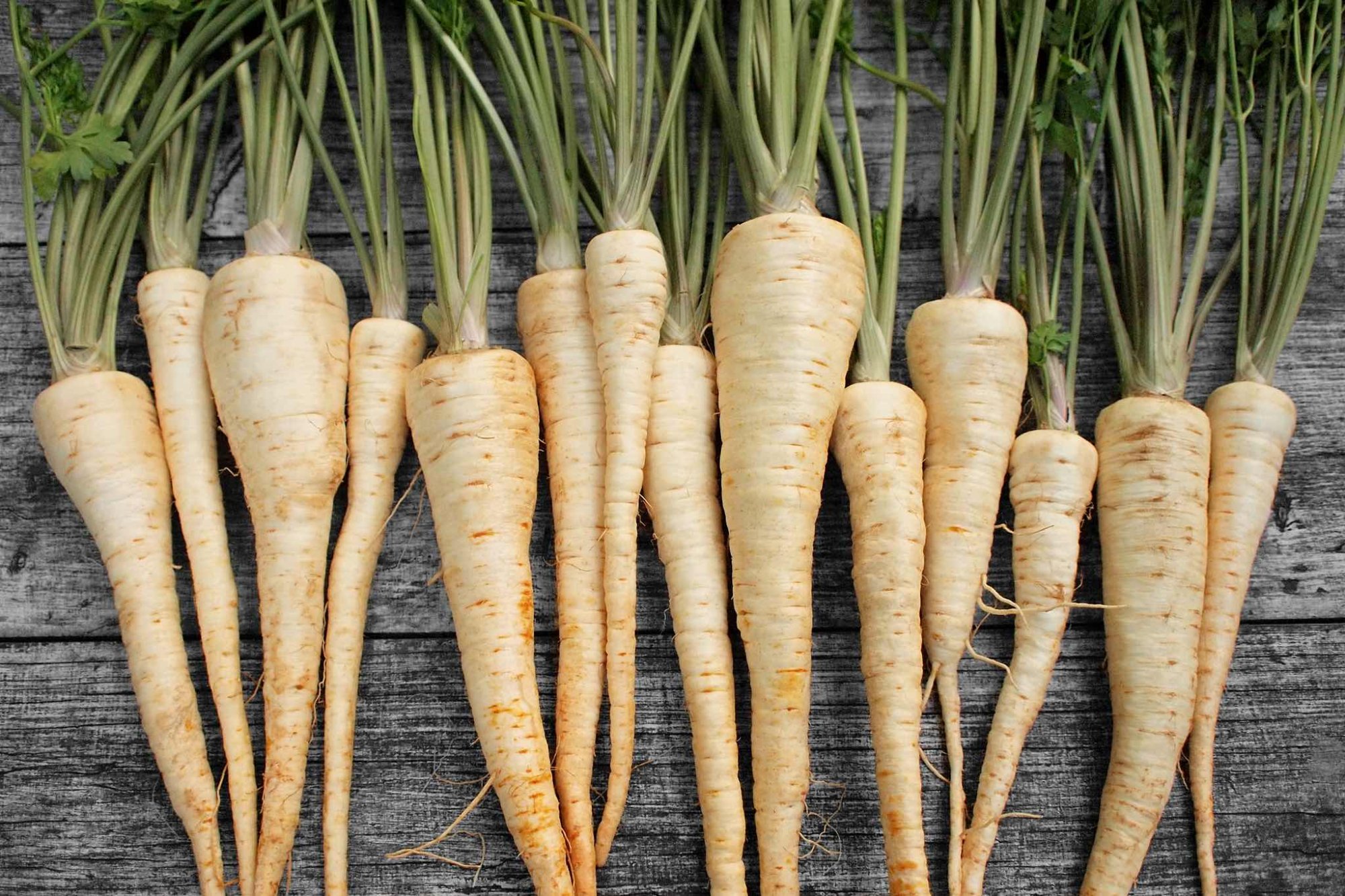 Jak pěstovat petržel a využít ji v kuchyni i pro zdraví