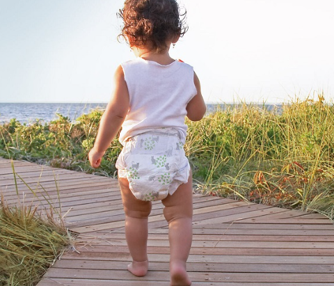 Co to znamená plenková disciplína?