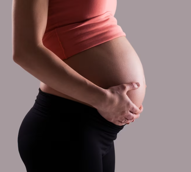 Placenta: Co to je a proč je důležitá