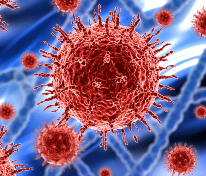 Vir a virus: Jaký je mezi nimi rozdíl