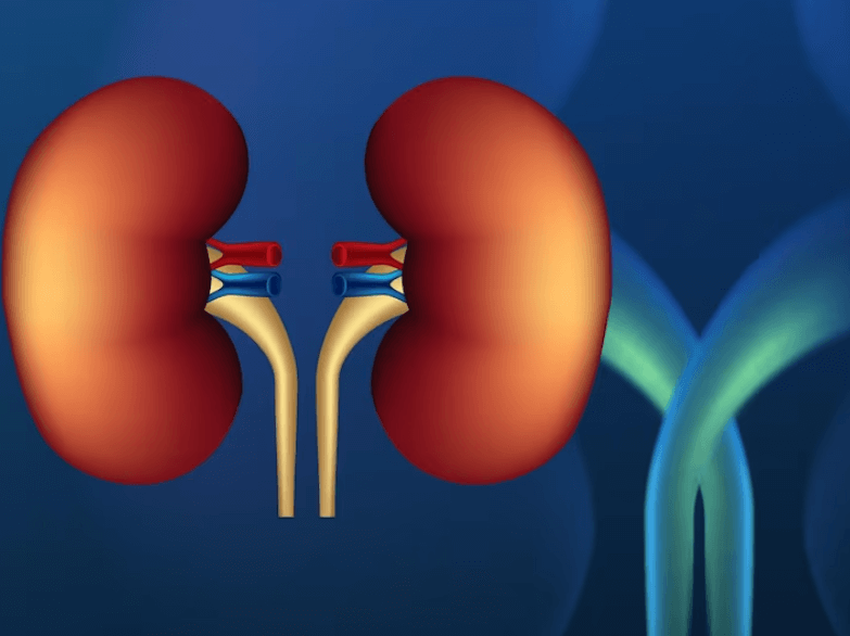 Dialýza: Co to je a proč je tak podstatná
