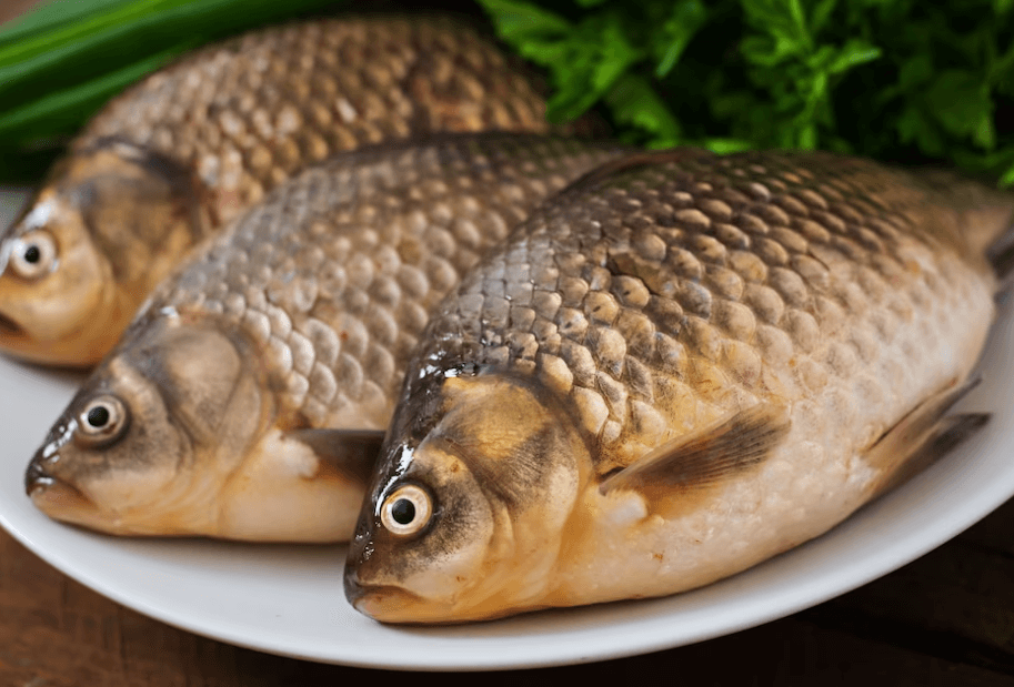 Jak udit kapra: Perfektní recept na uzené ryby