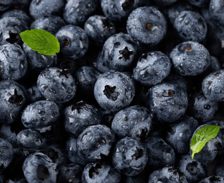 Jak zavařit borůvky: Sladké zásoby plné vitamínů