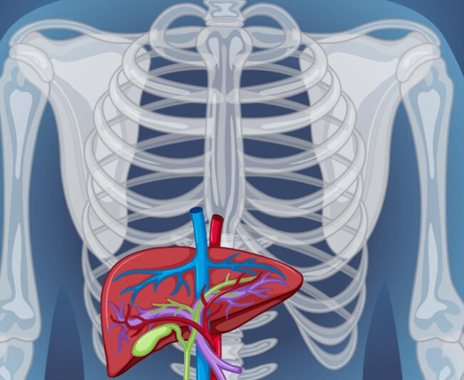 Co je léze a jaterní léze: Vše, co potřebujete vědět