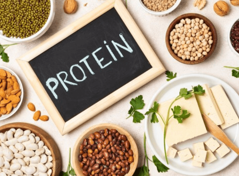 Co je to bílkovina: Struktura, funkce a zdroje