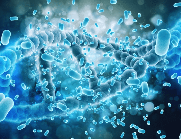 Co je legionella: Bakterie způsobující Legionářskou nemoc