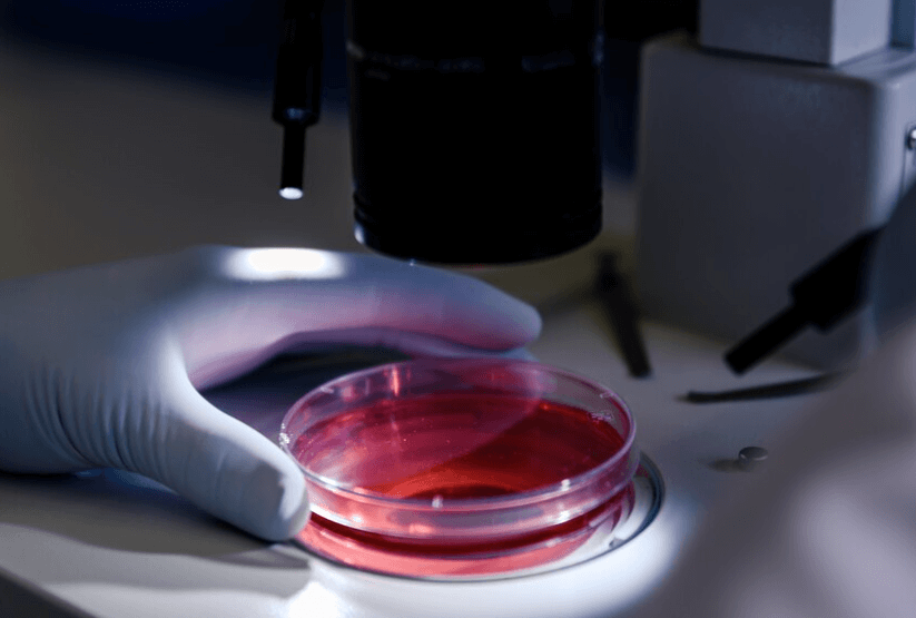 Co je cytologie: Studium buněk a její význam v medicíně