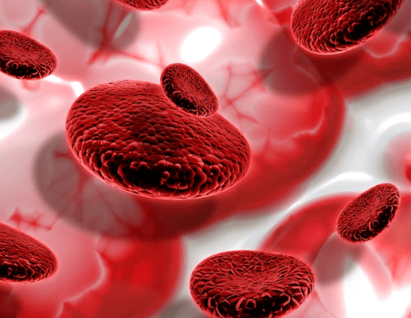 Jak zvýšit krevní destičky: Přirozené způsoby a léčba