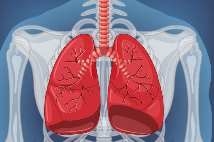 Jak posílit plíce: Rady pro zlepšení dýchacího systému