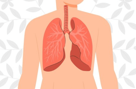 Jak vyčistit plíce: Zdraví dýchacího systému a prevence