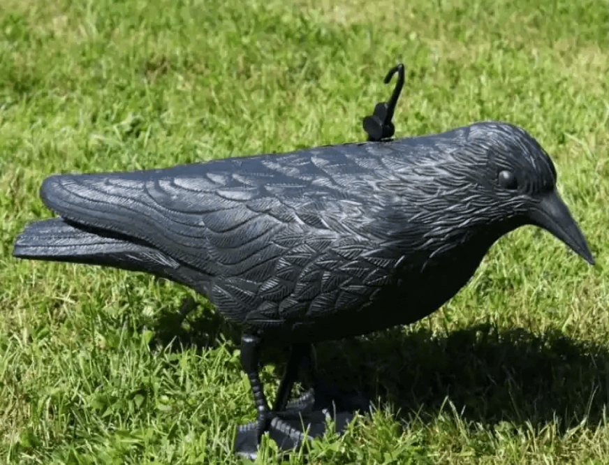 Jak vybrat plašič škůdců: Průvodce výběrem