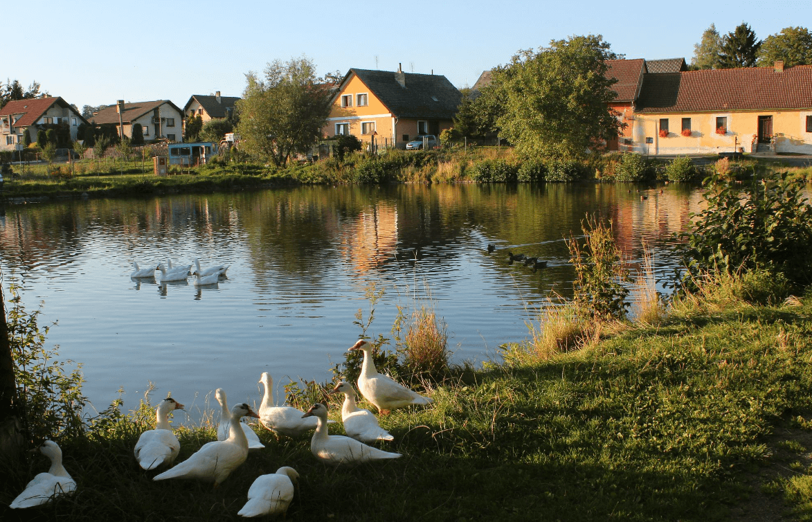 Tipy na výlet s dětmi Kasejovice okres Plzeň-jih a okolí