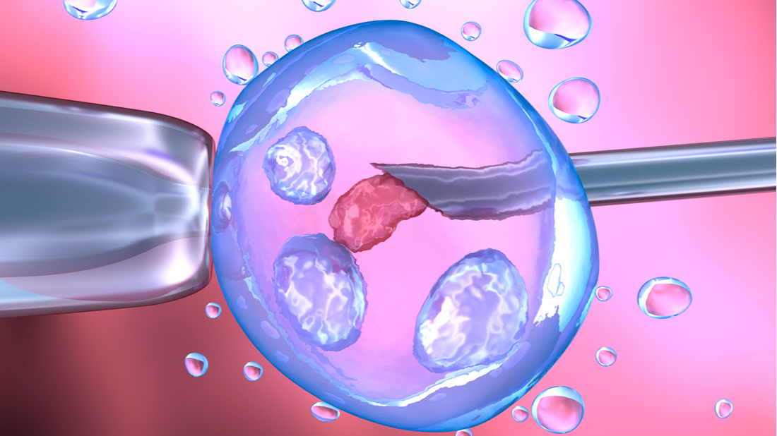 Hodnota TSH před IVF: proč je tak důležitá a co všechno ovlivňuje úspěšnost otěhotnění