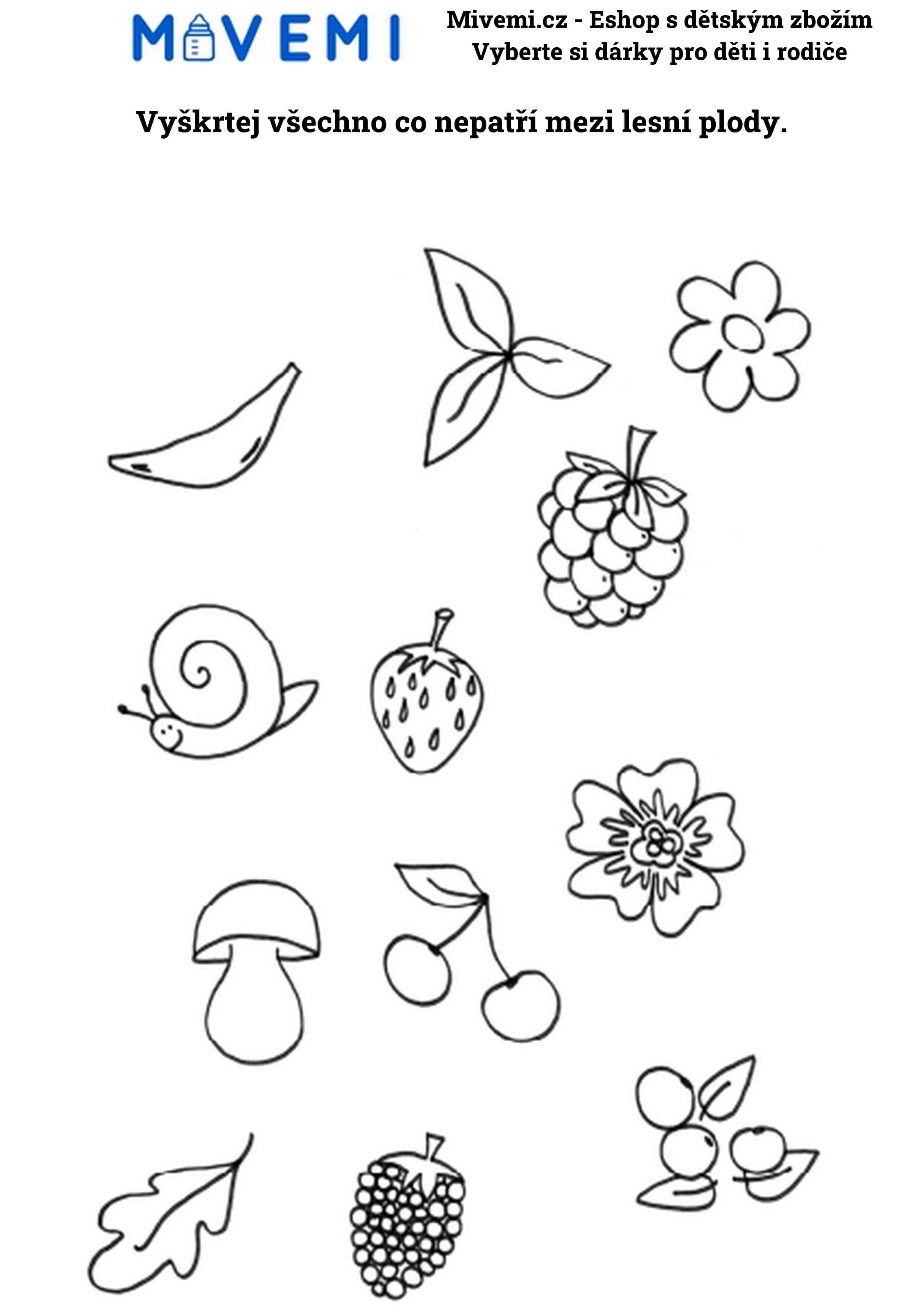 Vzdělávací pracovní sešit pro děti pro komplexní rozvoj, kreativitu a přípravu na školu.