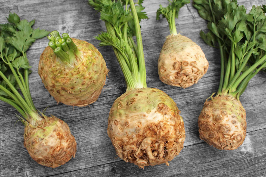 Jak Sazet Celer (vegetační dobu, Tyto odrůdy, Apium graveolens, celeru jsou) Jak Sazet Celer