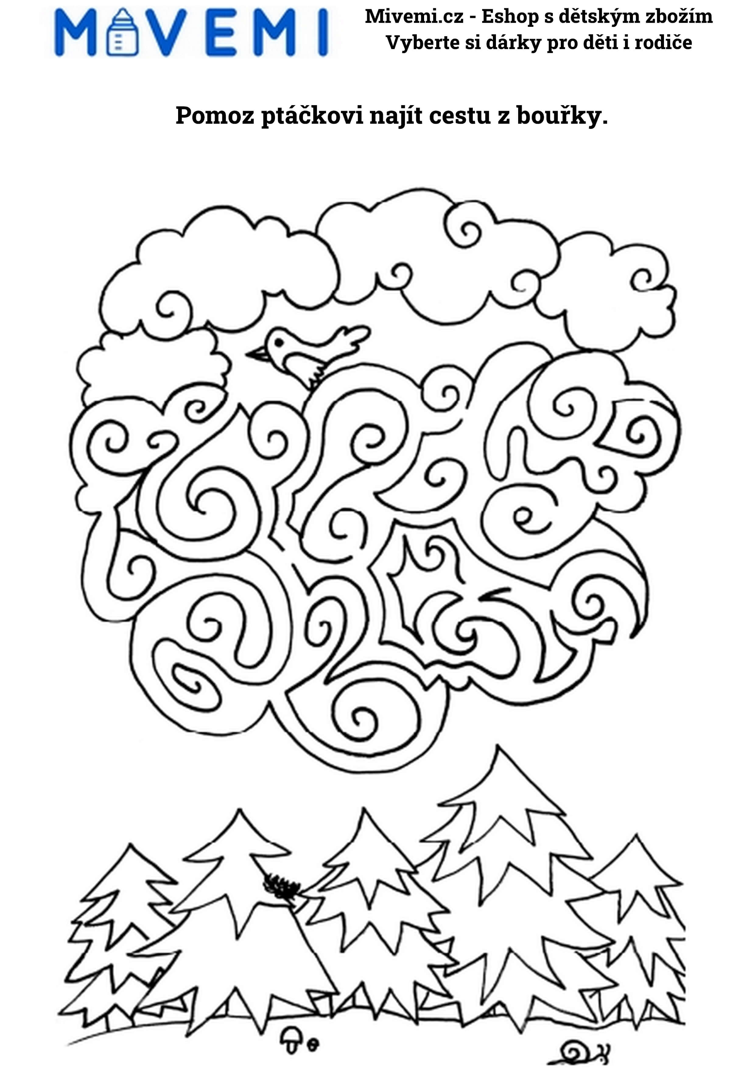 Vzdělávací pracovní sešit pro rozvoj logiky a soustředění u předškolních dětí.