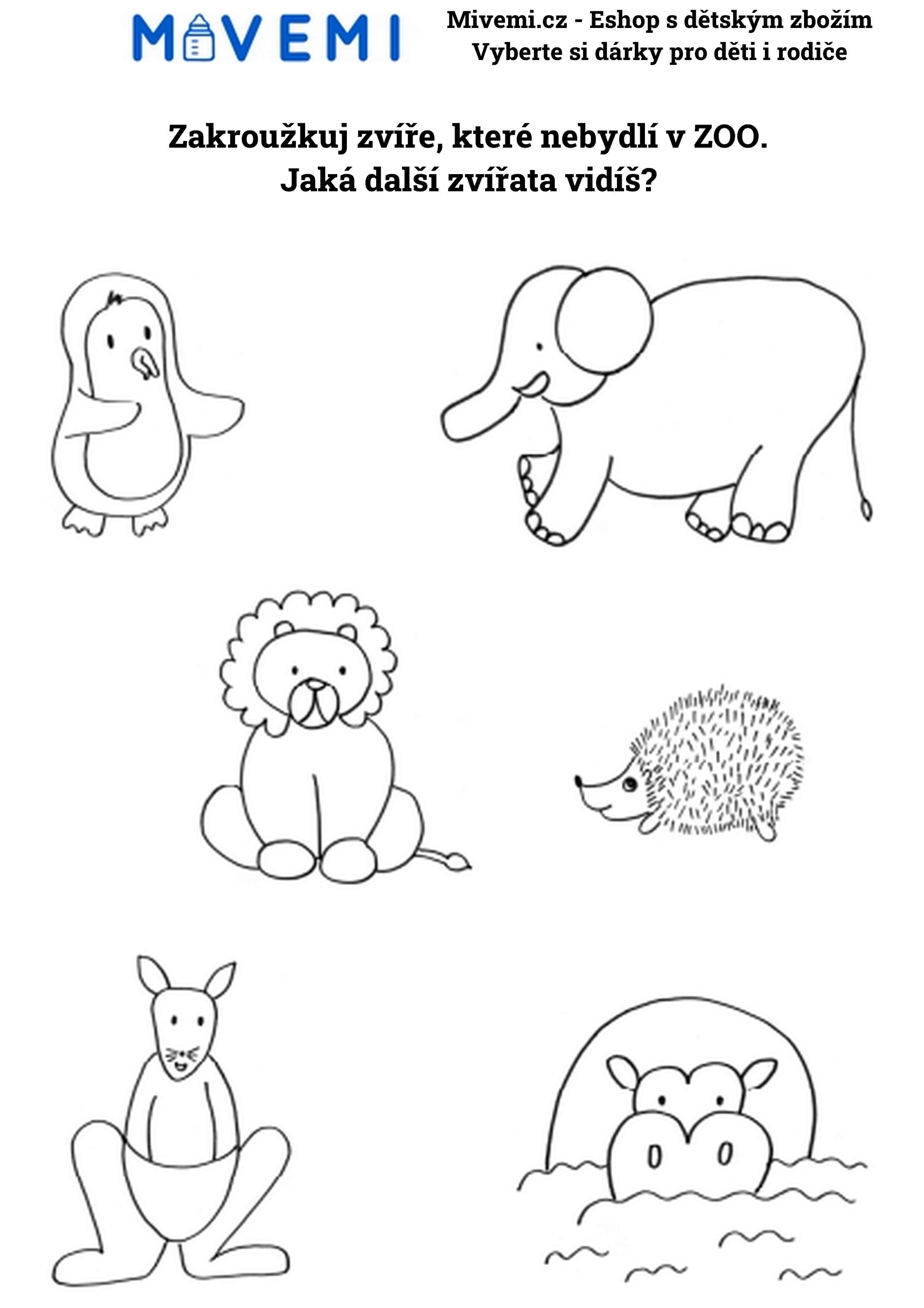 Vzdělávací pracovní sešit pro předškoláky určený pro rozvoj koncentrace a pozornosti.