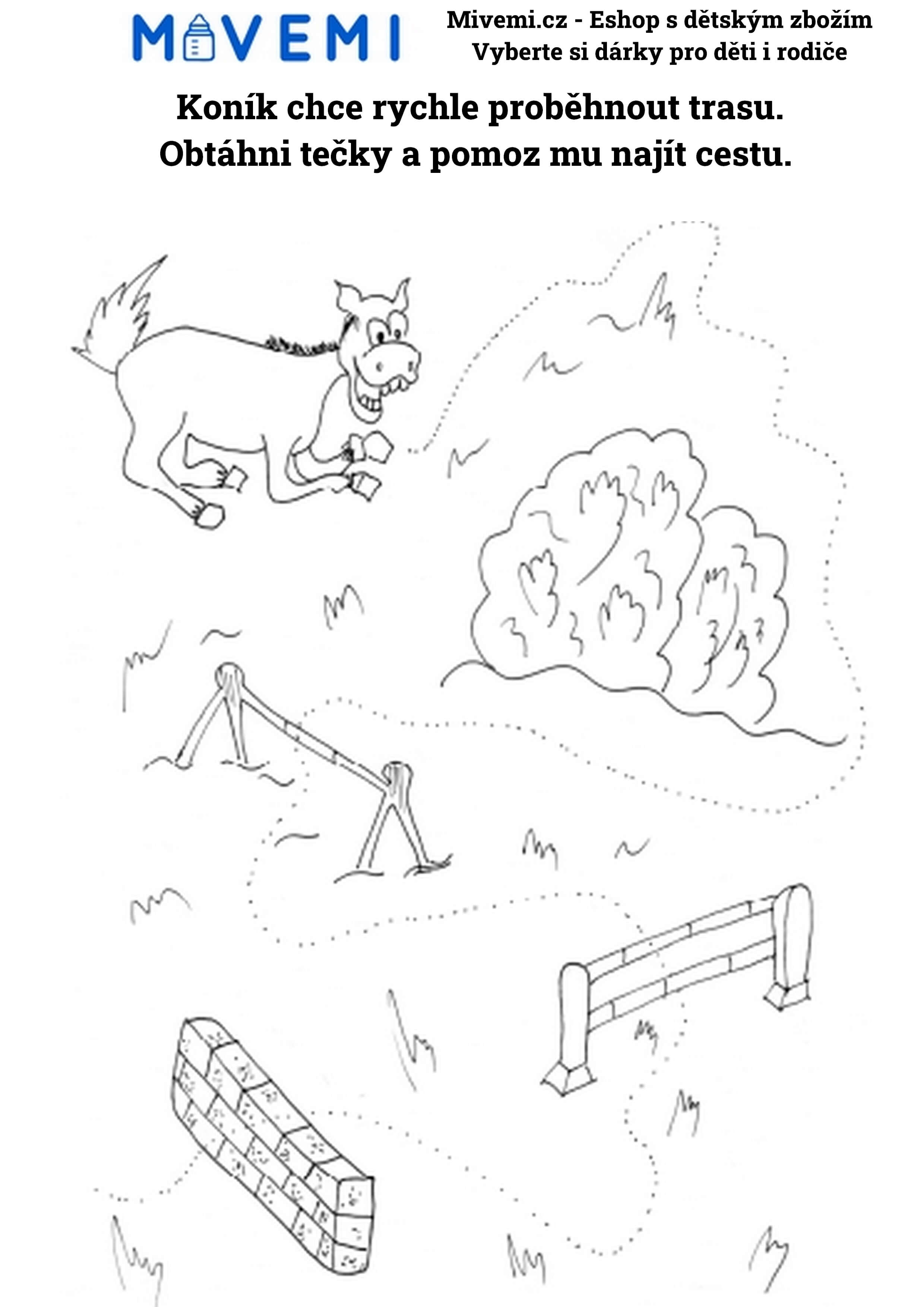 Vzdělávací pracovní sešit pro předškoláky zaměřený na logické myšlení a kreativní vzdělávání.