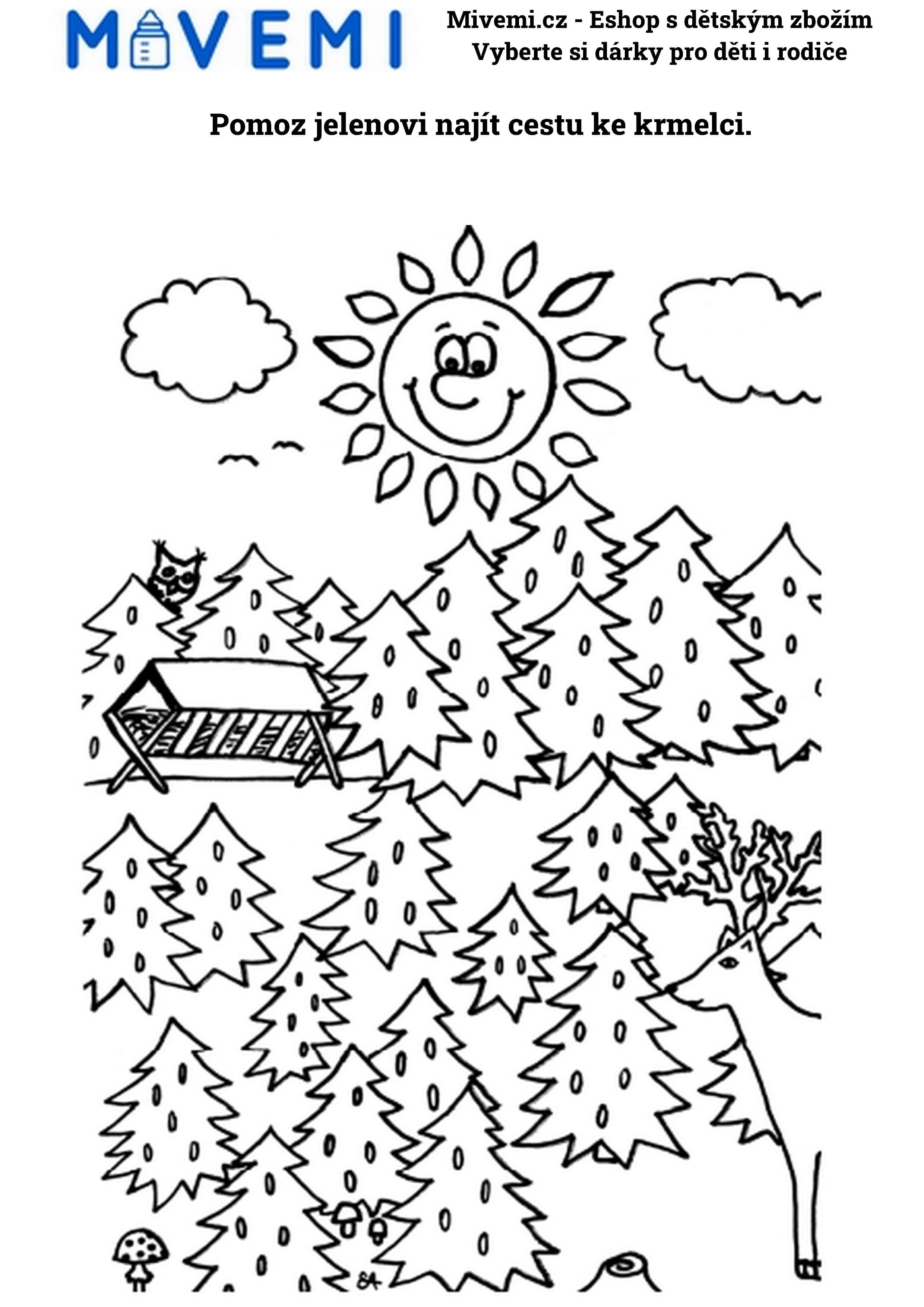 Vzdělávací pracovní sešit rozvíjející kreativní myšlení, soustředění a pozornost