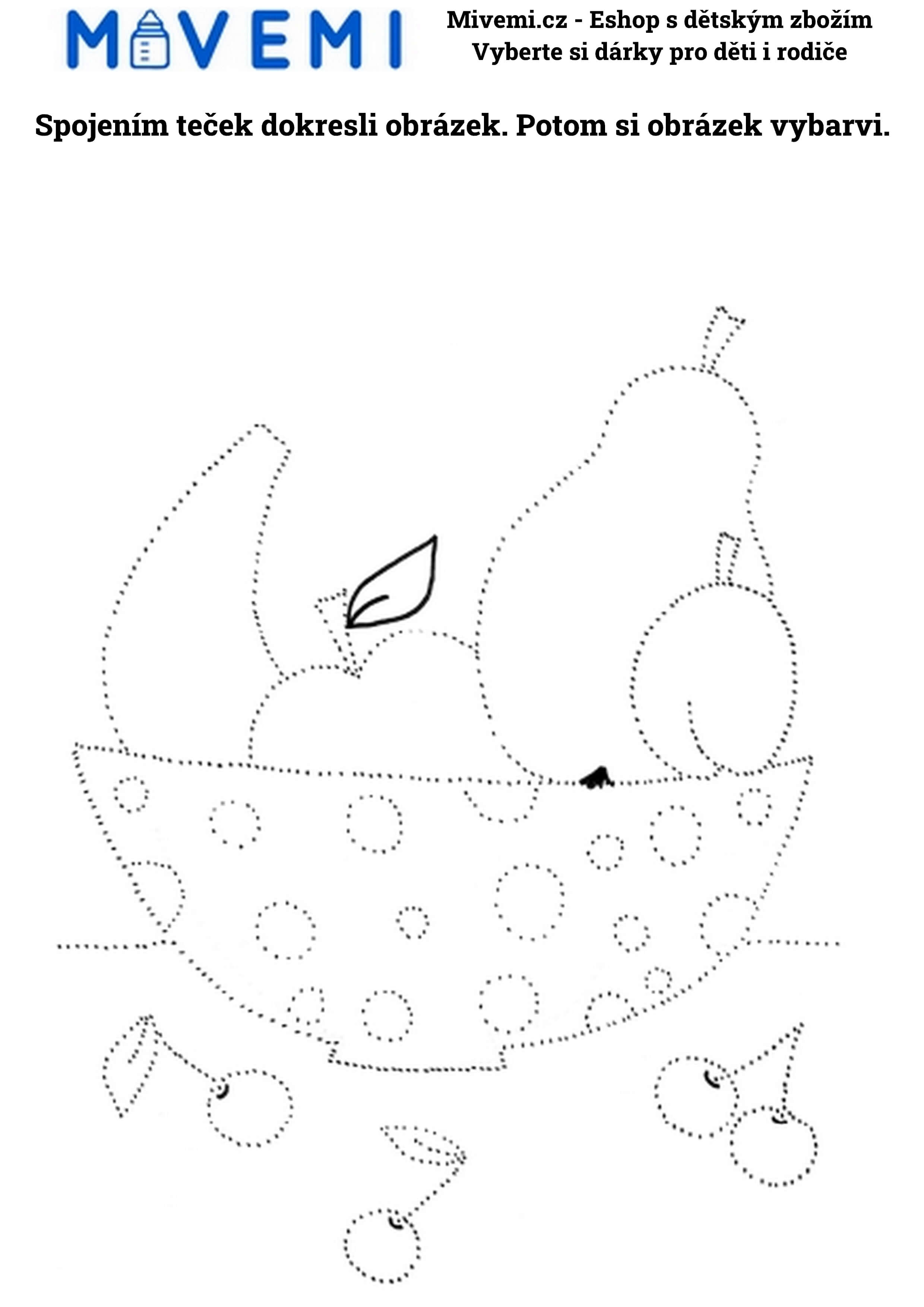 Vzdělávací pracovní sešit pro děti pro rozvoj koncentrace a pozornosti.