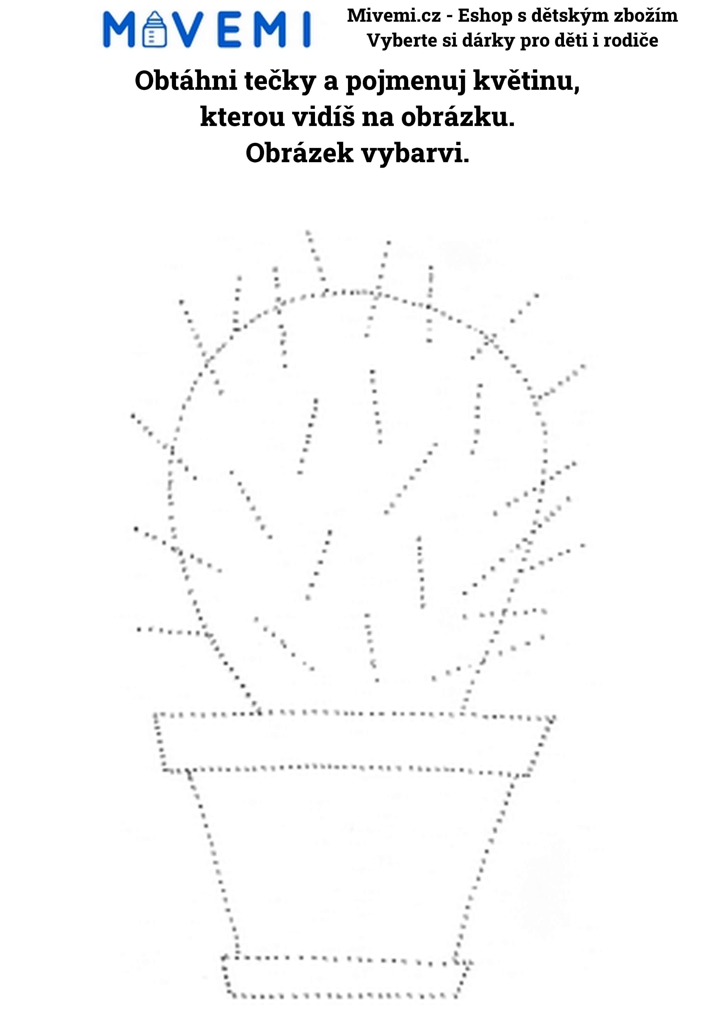 Vzdělávací pracovní sešit pro předškoláky s komplexním obsahem pro rozvoj dovedností
