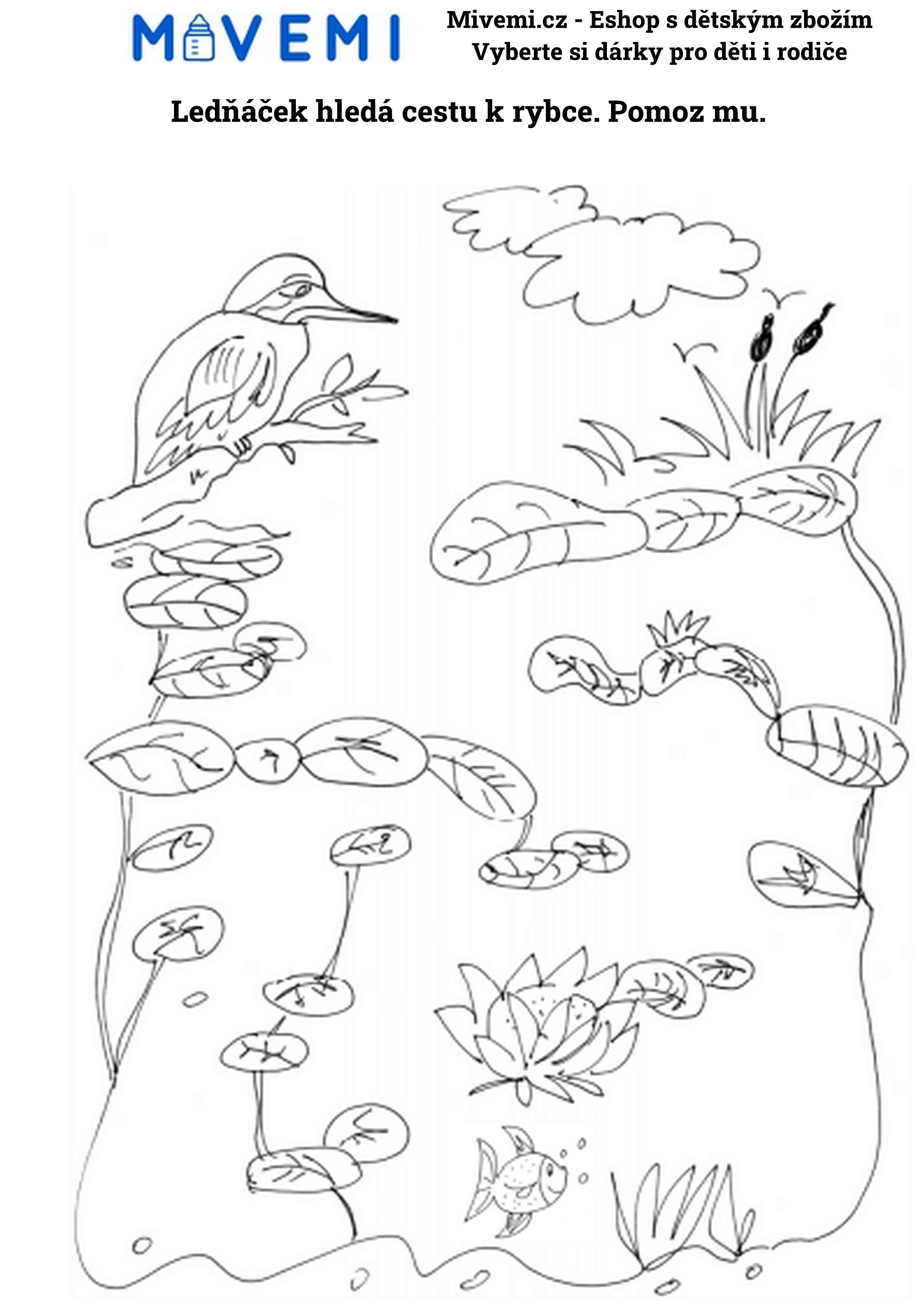 Pracovní sešit pro děti pro hravé učení doma a rozvoj koncentrace a pozornosti.